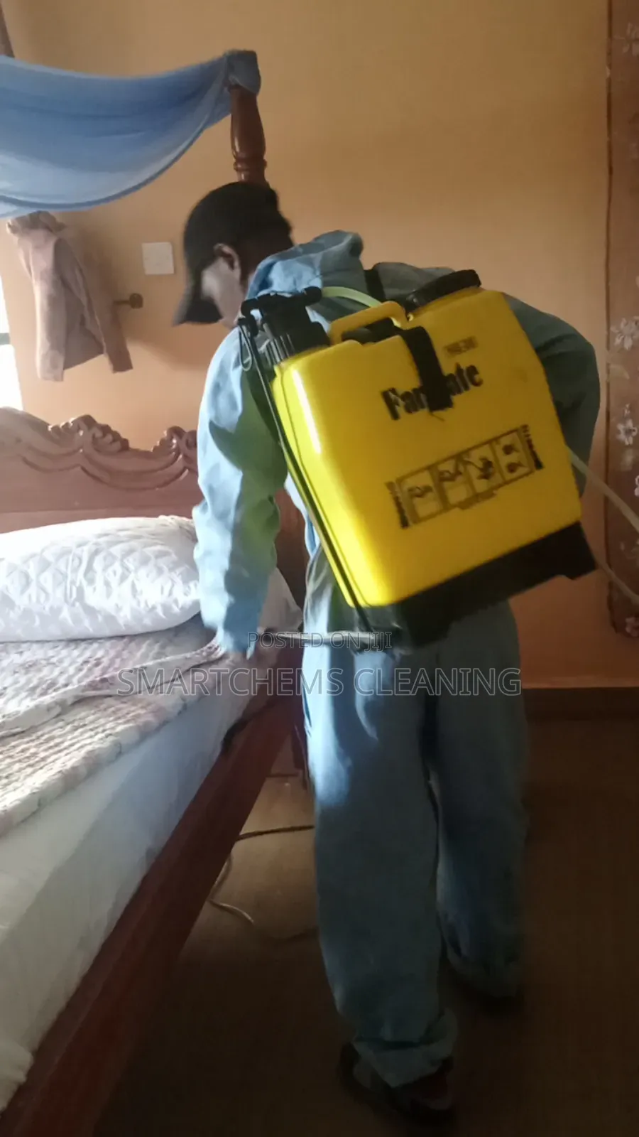 Pests Control Services in Ruiru