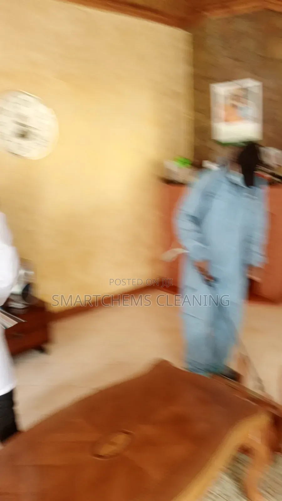 Cockroaches Elimination in Juja