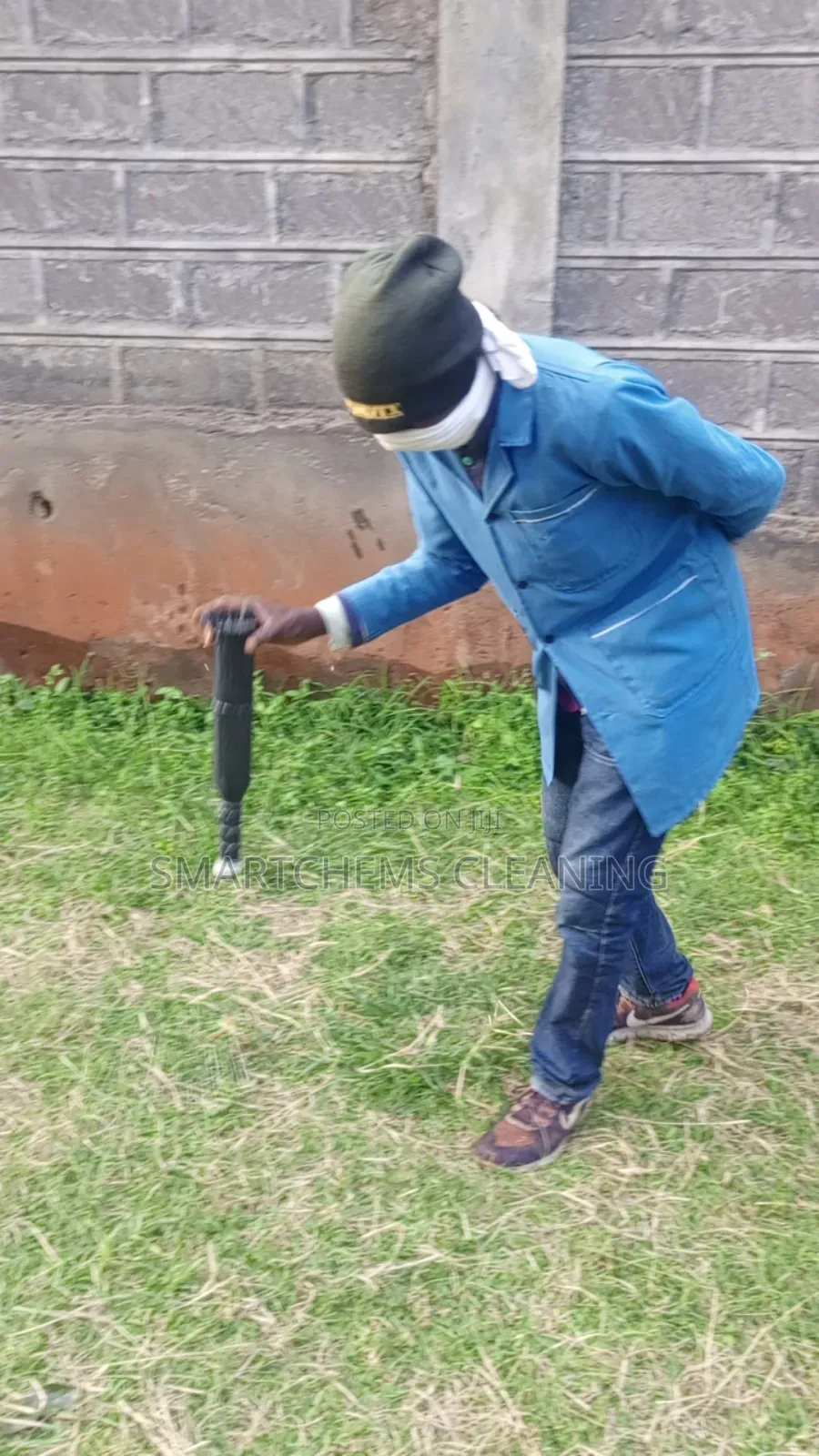 Termites and Black Ants Control