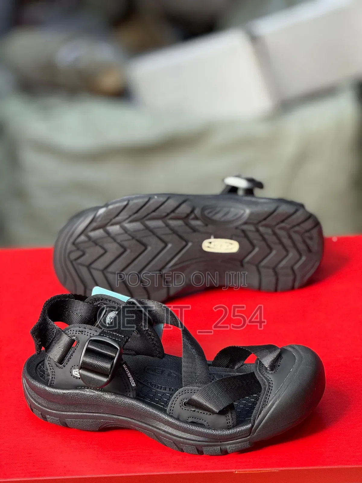 Keen Shoe
38-45
Available