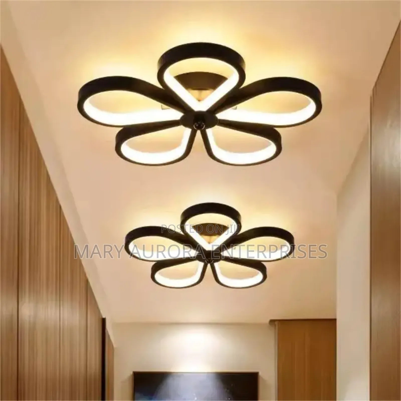 Indoor Wall Lights