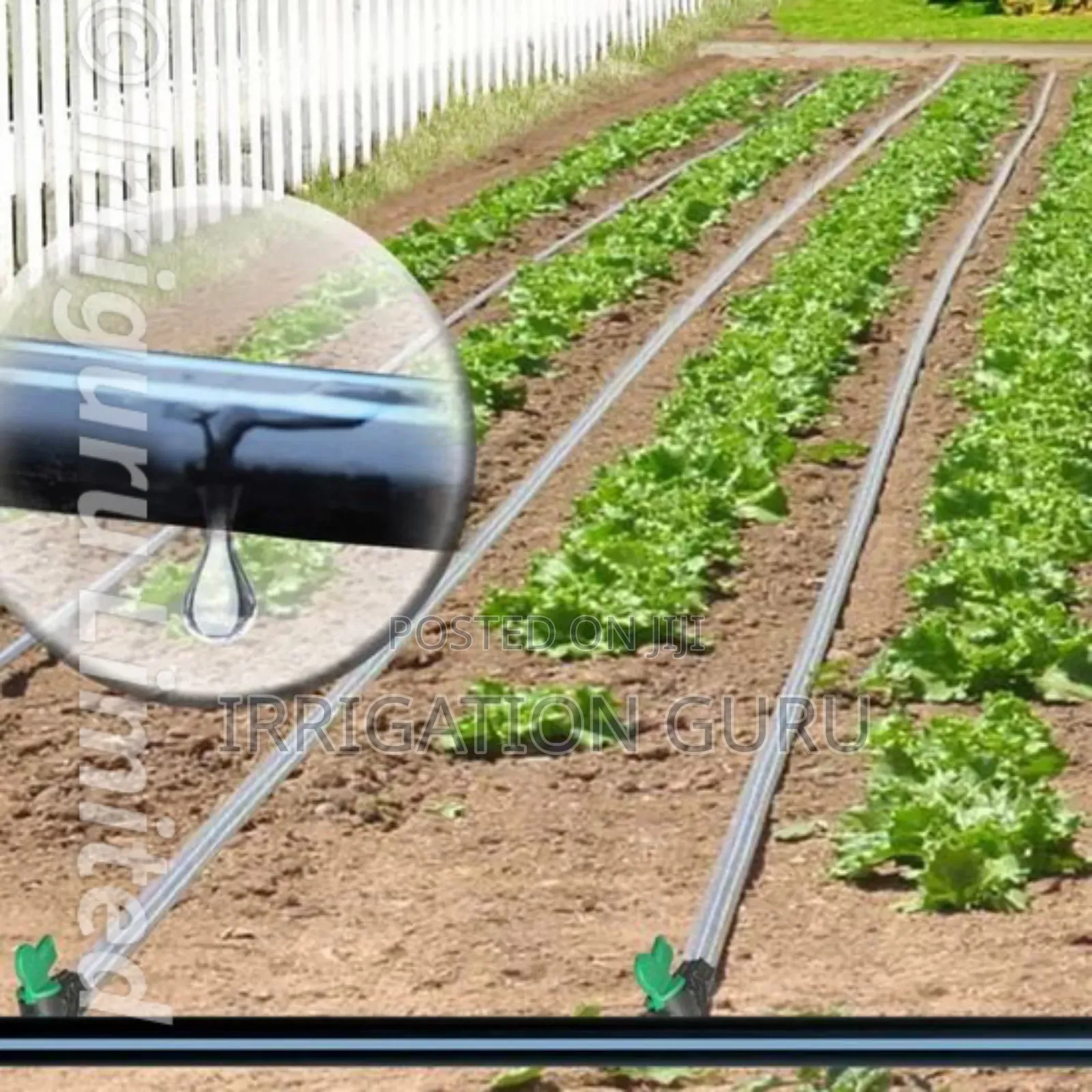 Irrigation Hose for Crops