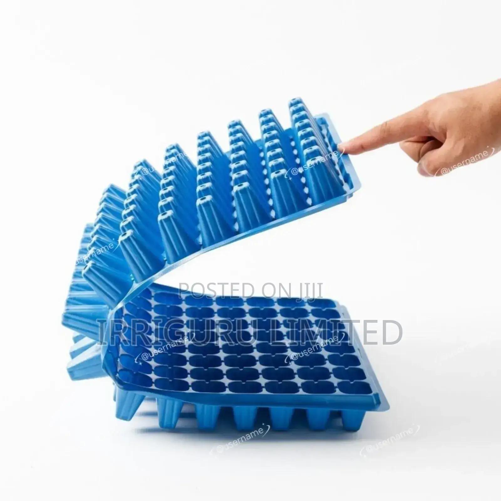 Sprouting Trays