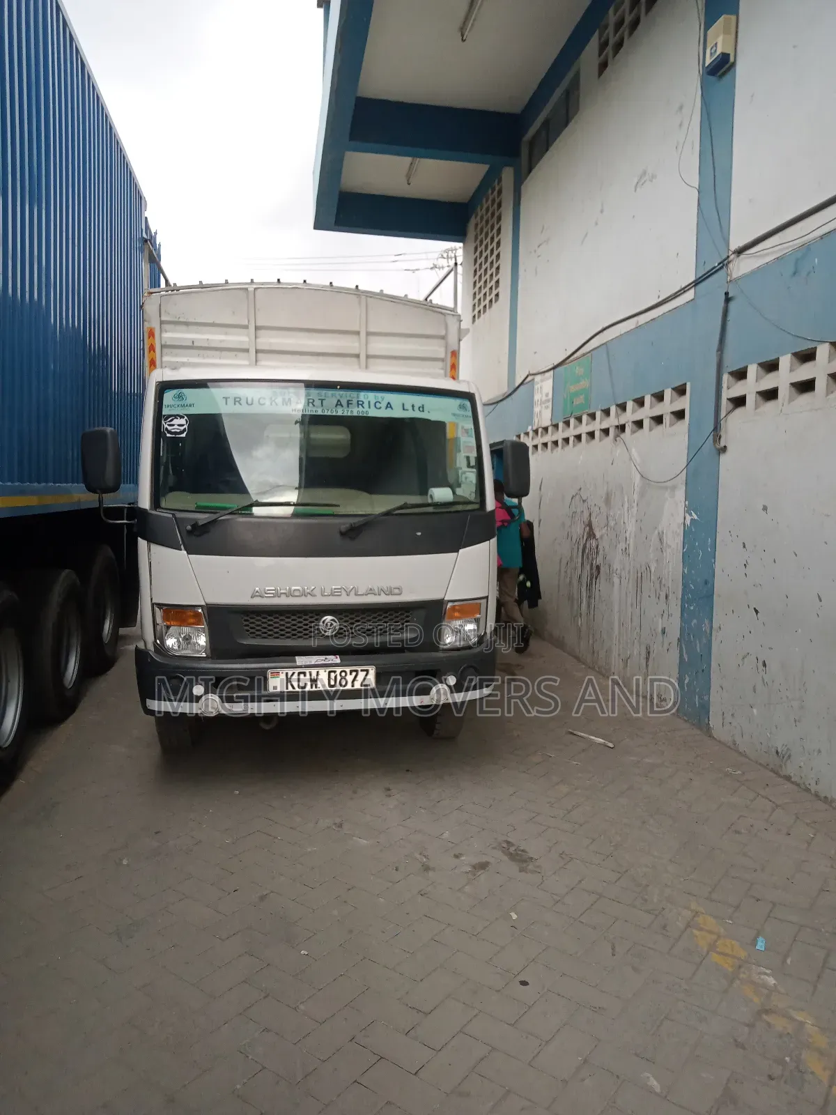 High Body Canter for Transport Available.