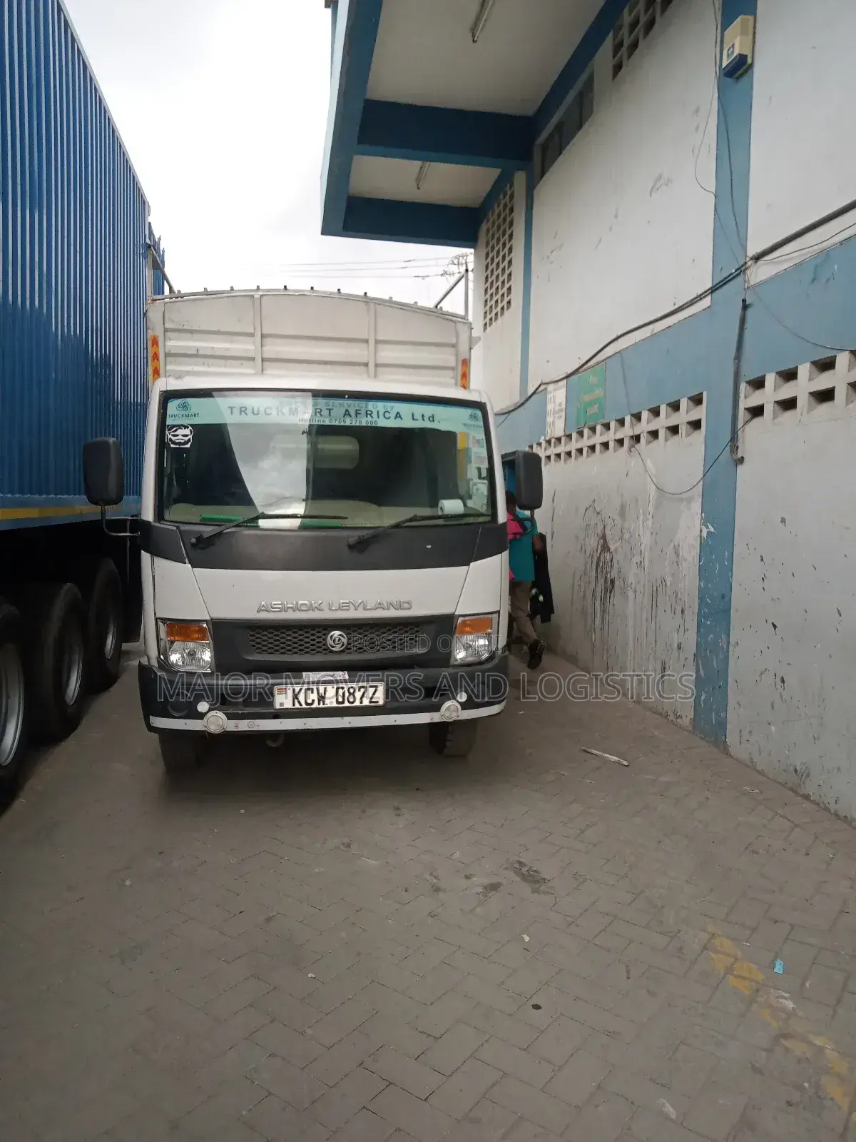 High Body Canter for Transport Available.