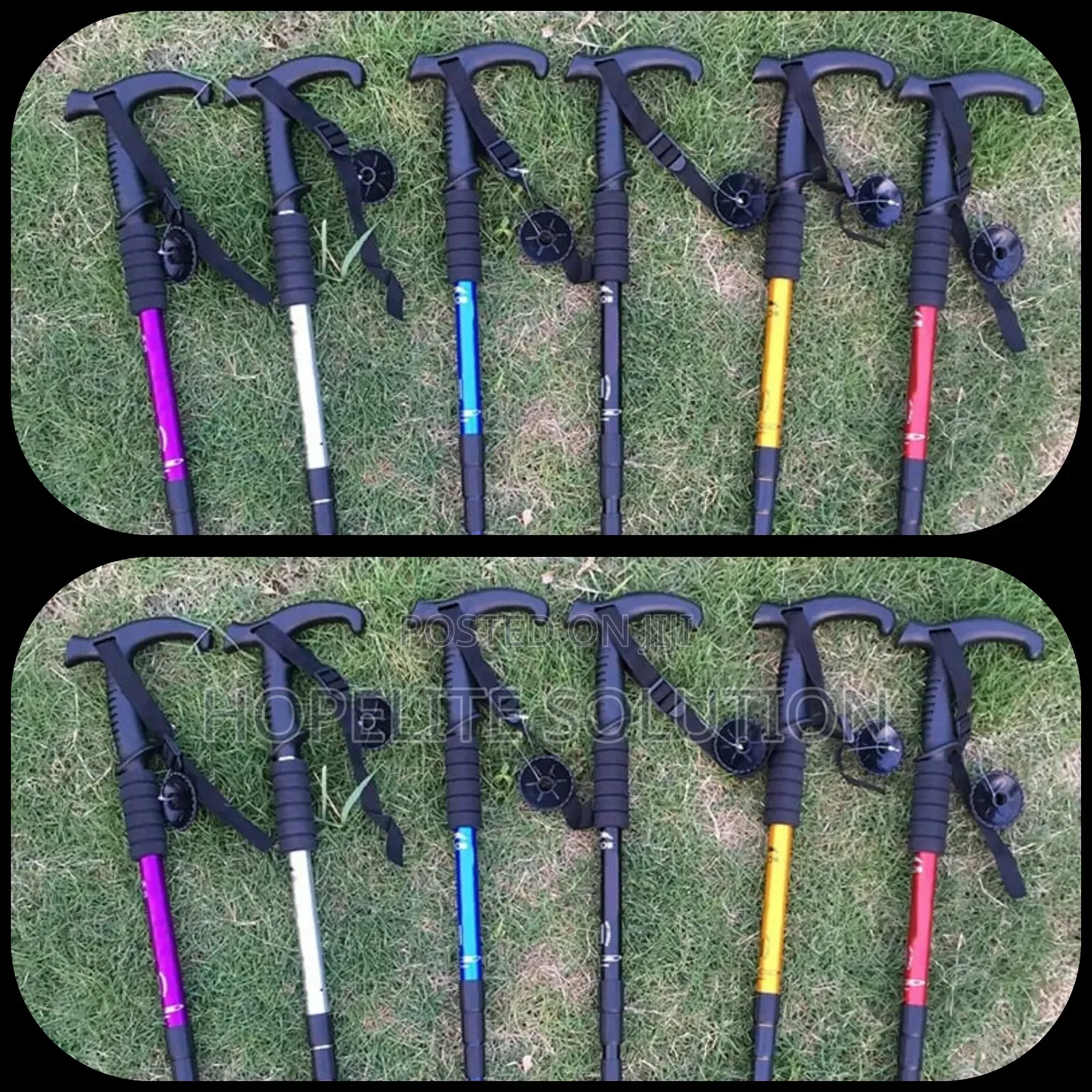 Ant Shock Trekking Walking Stick