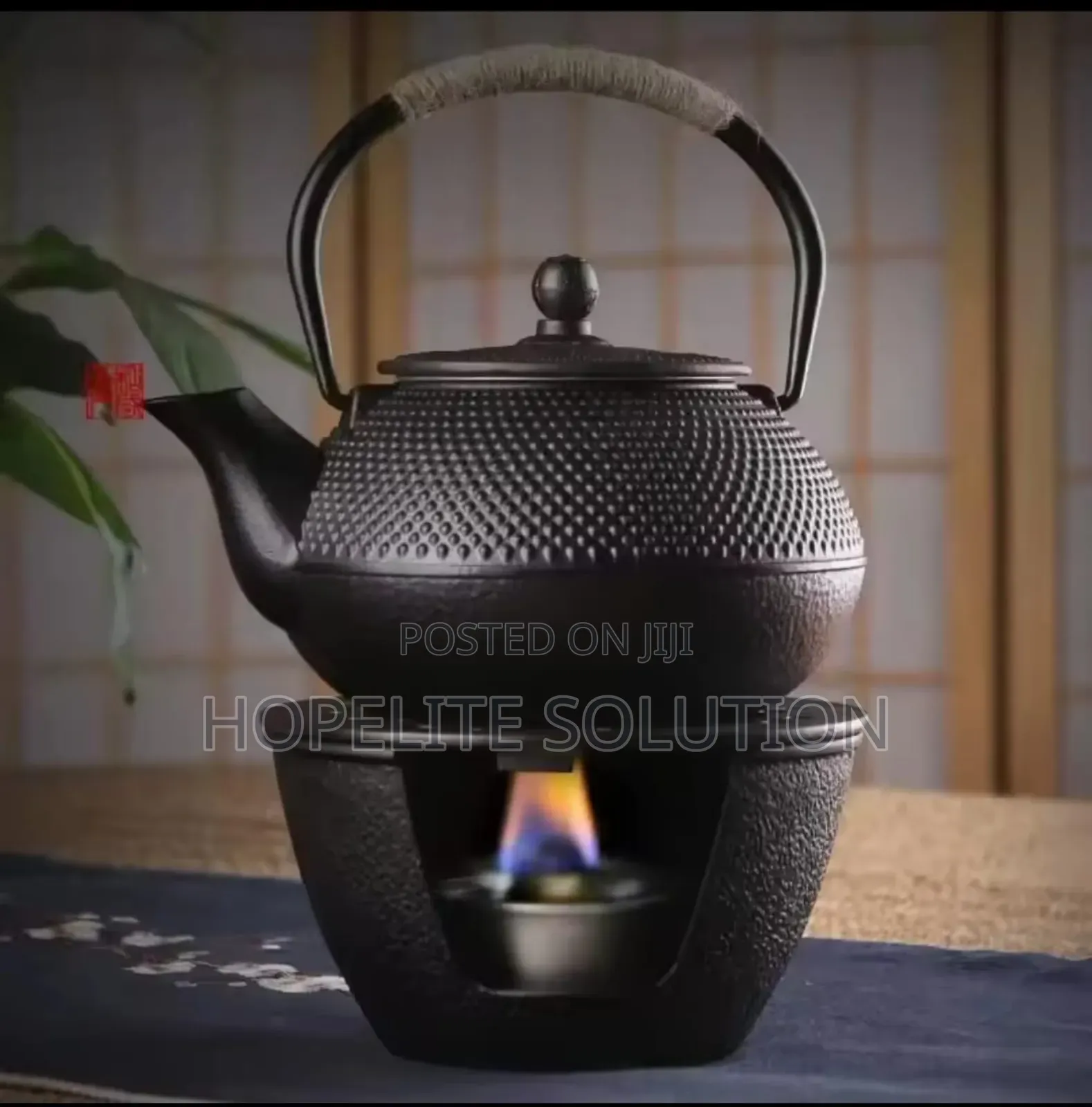 Cast Iron Japanese Tea Pot