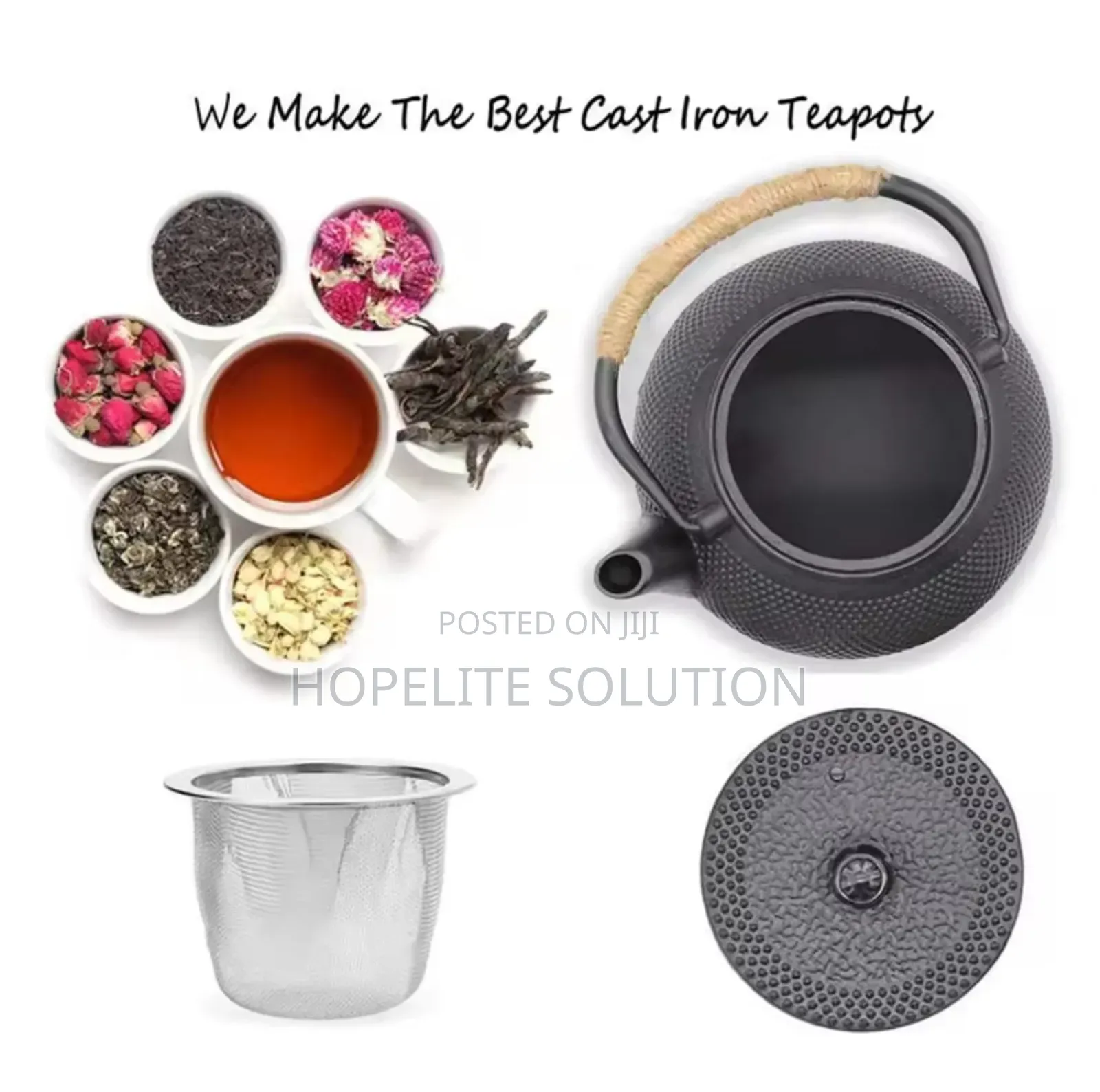 Cast Iron Japanese Tea Pot