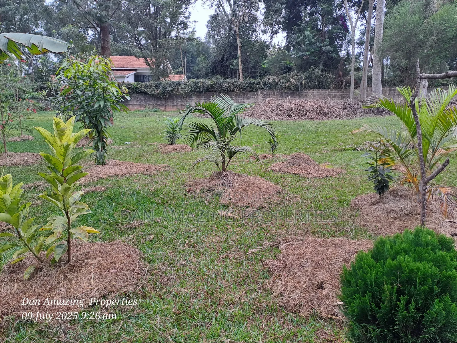 1 Acre Red Soil in Karen Windridge Touching Tarmac for Sale