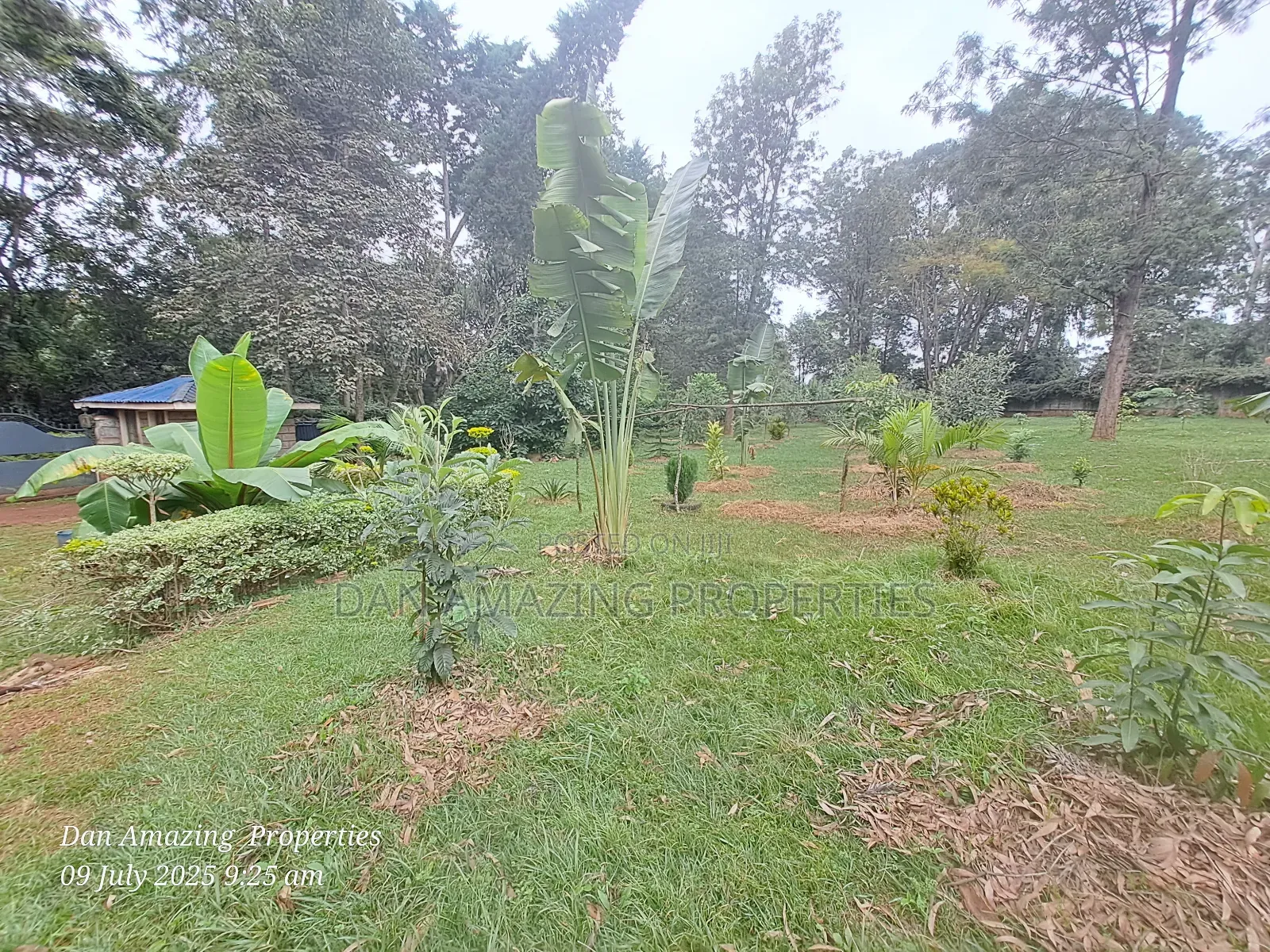 1 Acre Red Soil in Karen Windridge Touching Tarmac for Sale