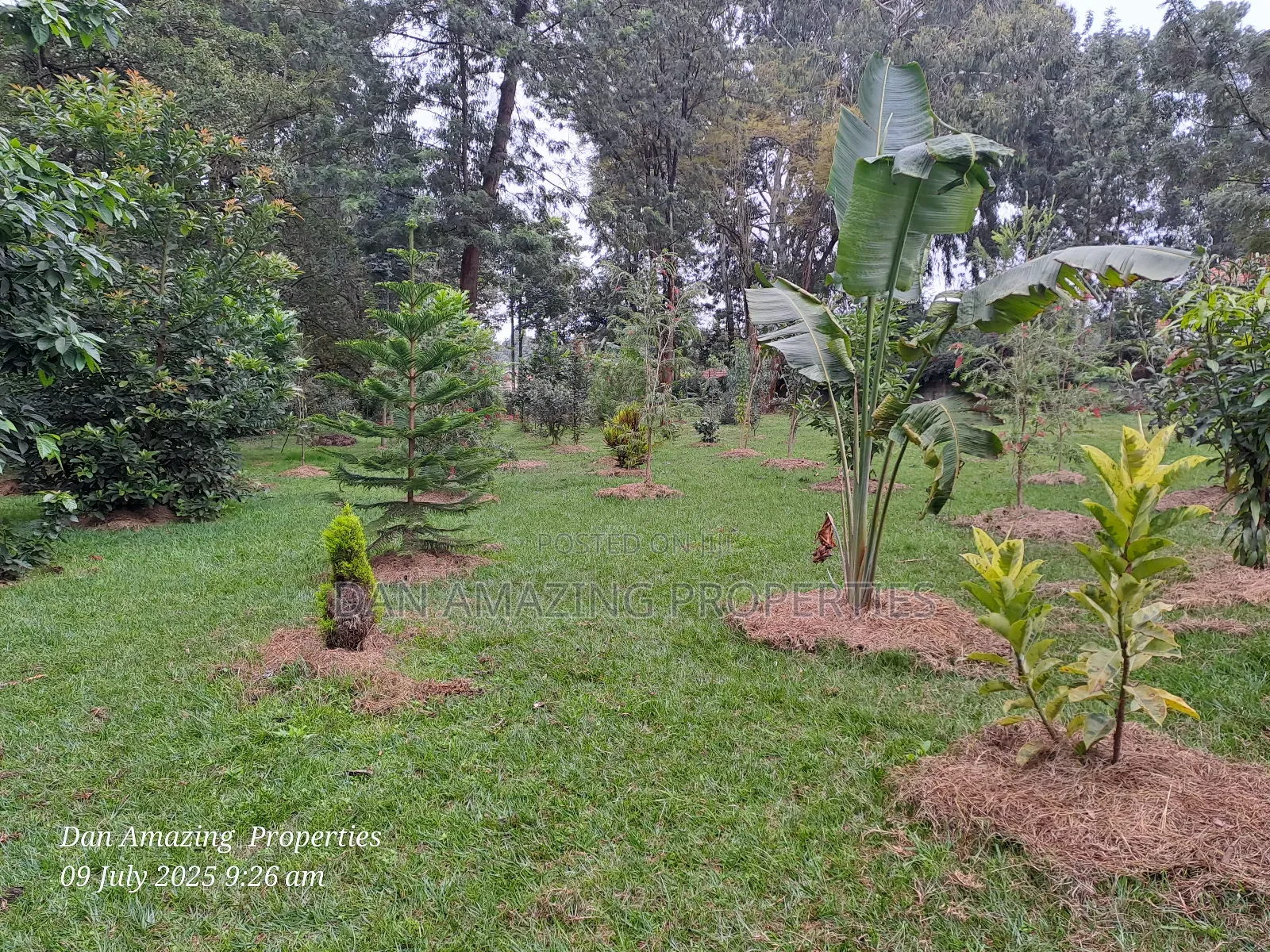 1 Acre Red Soil in Karen Windridge Touching Tarmac for Sale