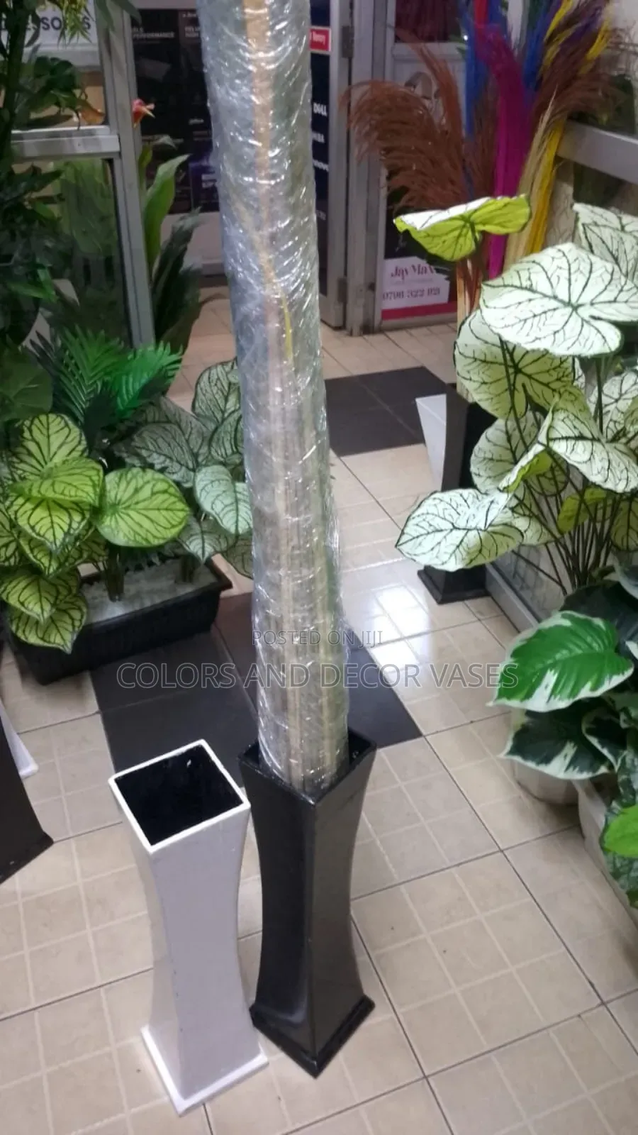 Plants, Flowers, Vases in Variety