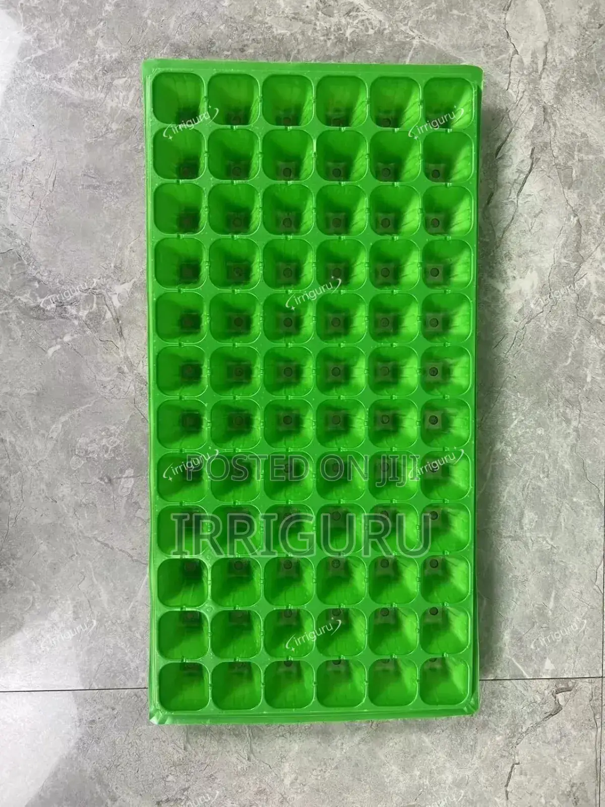 Sprouts Cells
