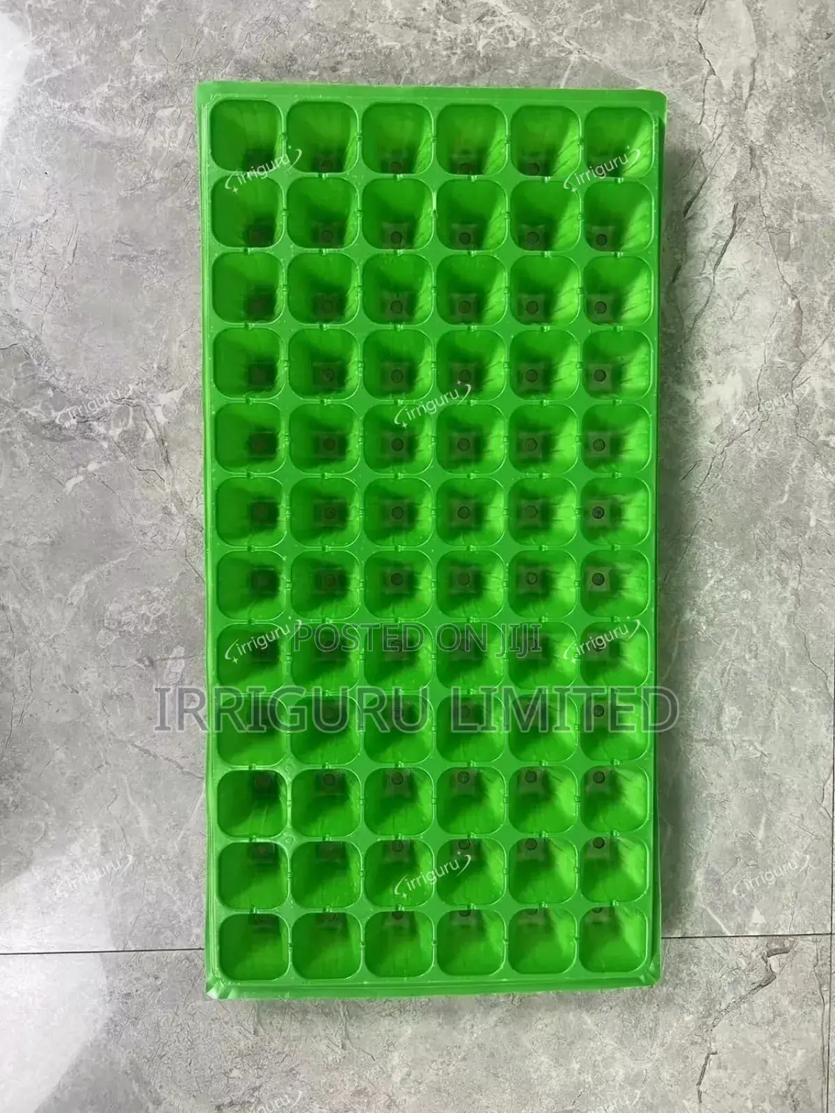Sprouts Cells