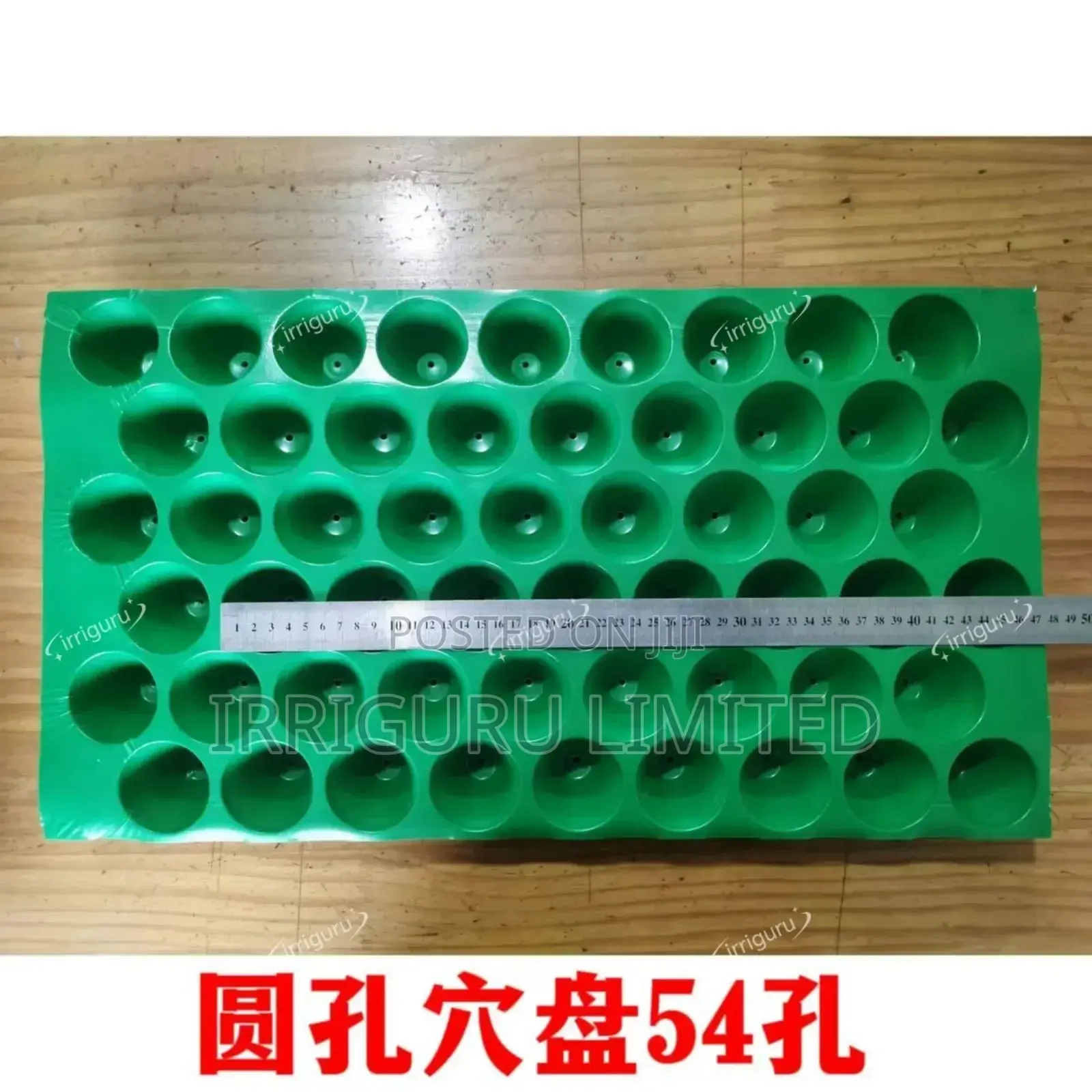 Seedling Trays All Holes