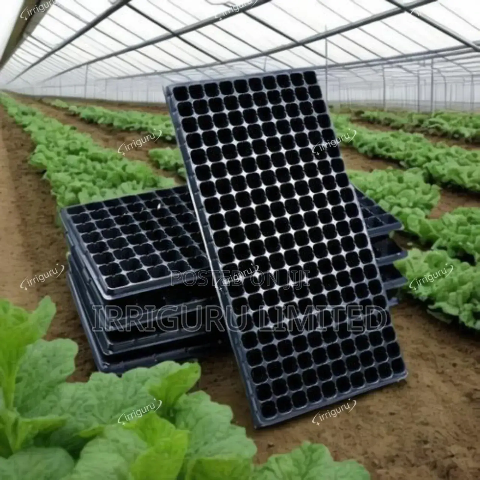 Flat Plastic Trays