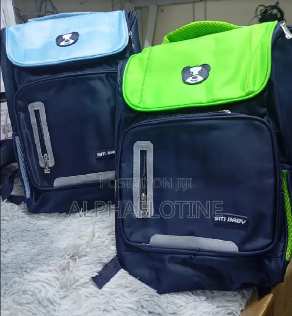 Multifunctional Unisex Waterproof Primary Kids Book Bag