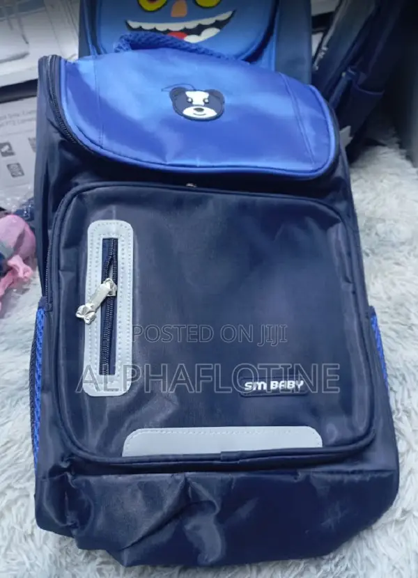 Kids Student Backpack/Daily School Life