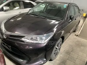 Toyota Axio 1.5 G 4WD 2018 Purple