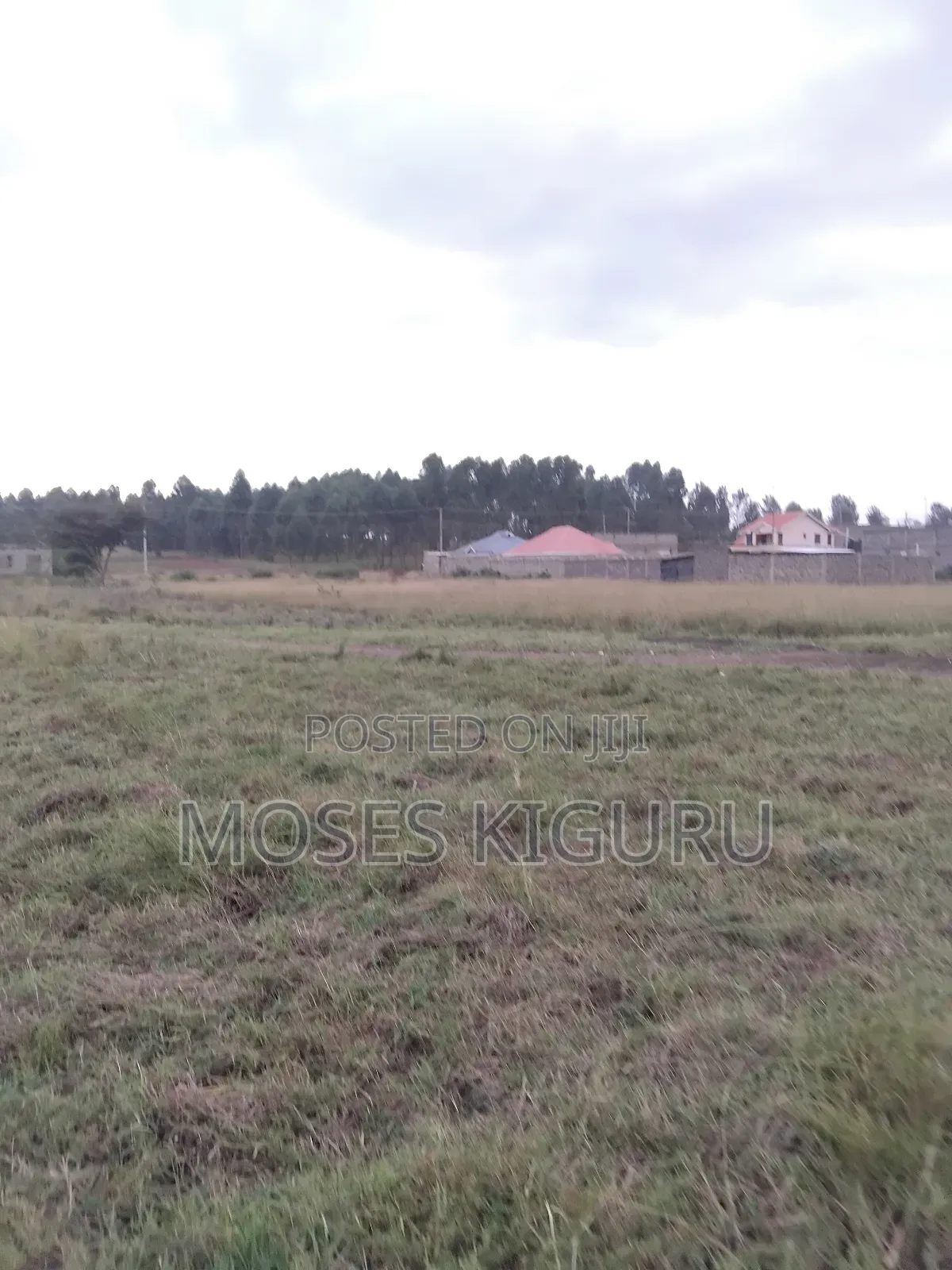 Juja 50x100 Plots.