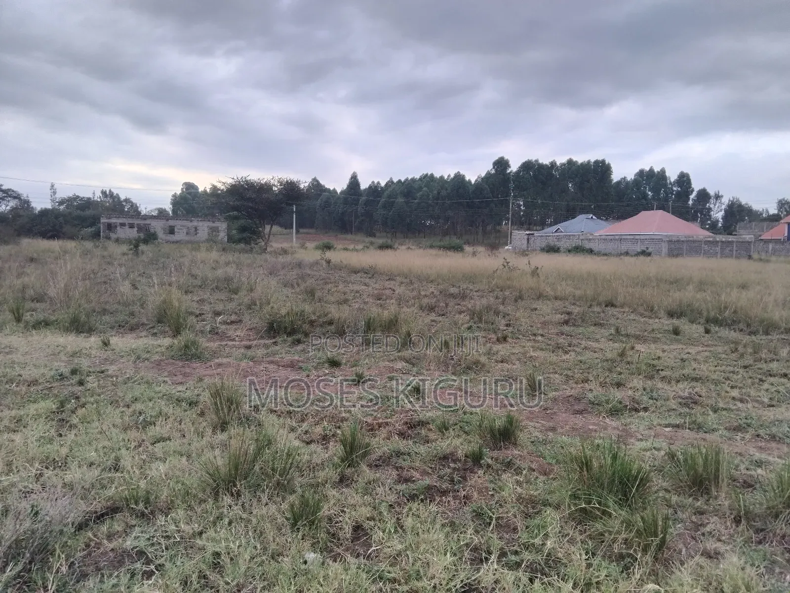 Juja 50x100 Plots.