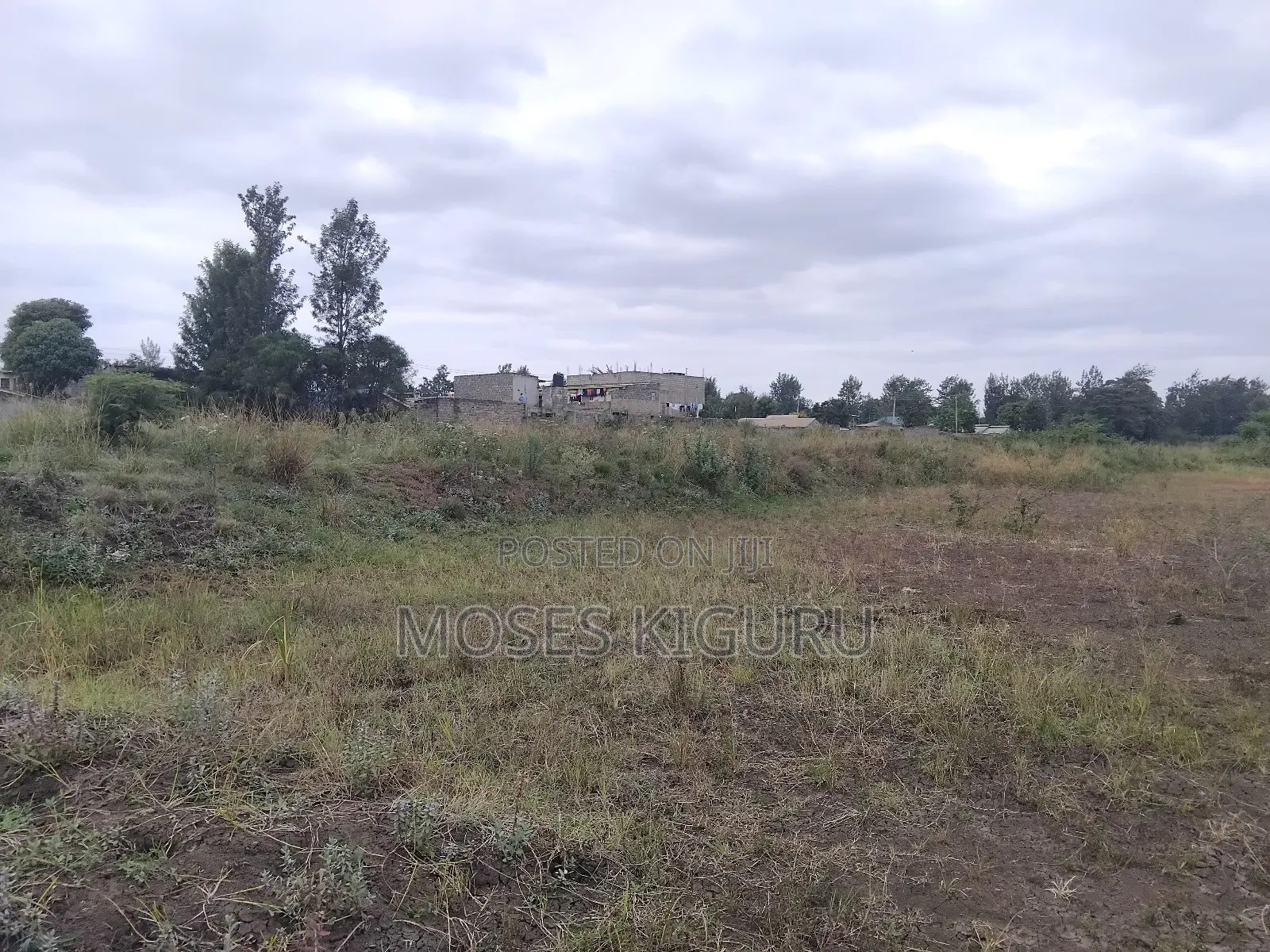 Juja 50x100 Plots.