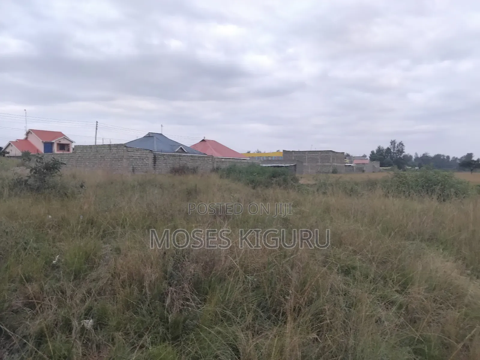 Juja 50x100 Plots.