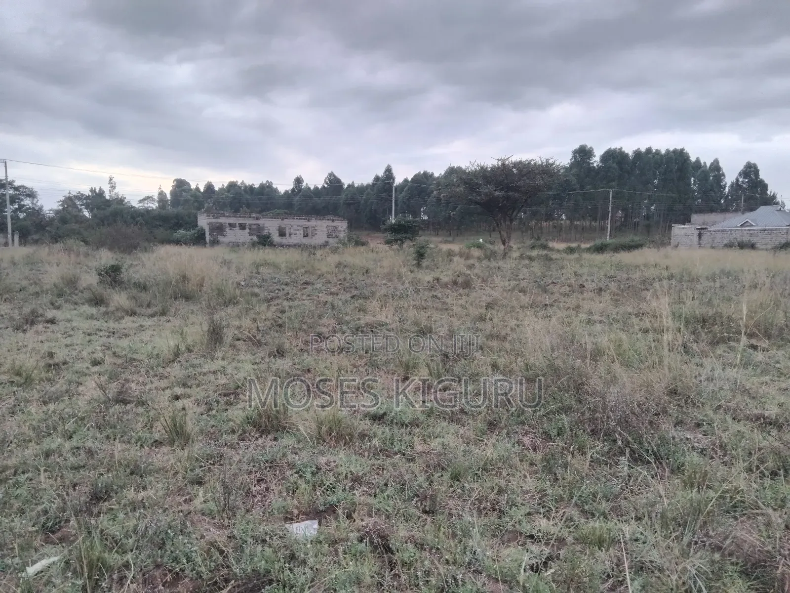 Juja 50x100 Plots.