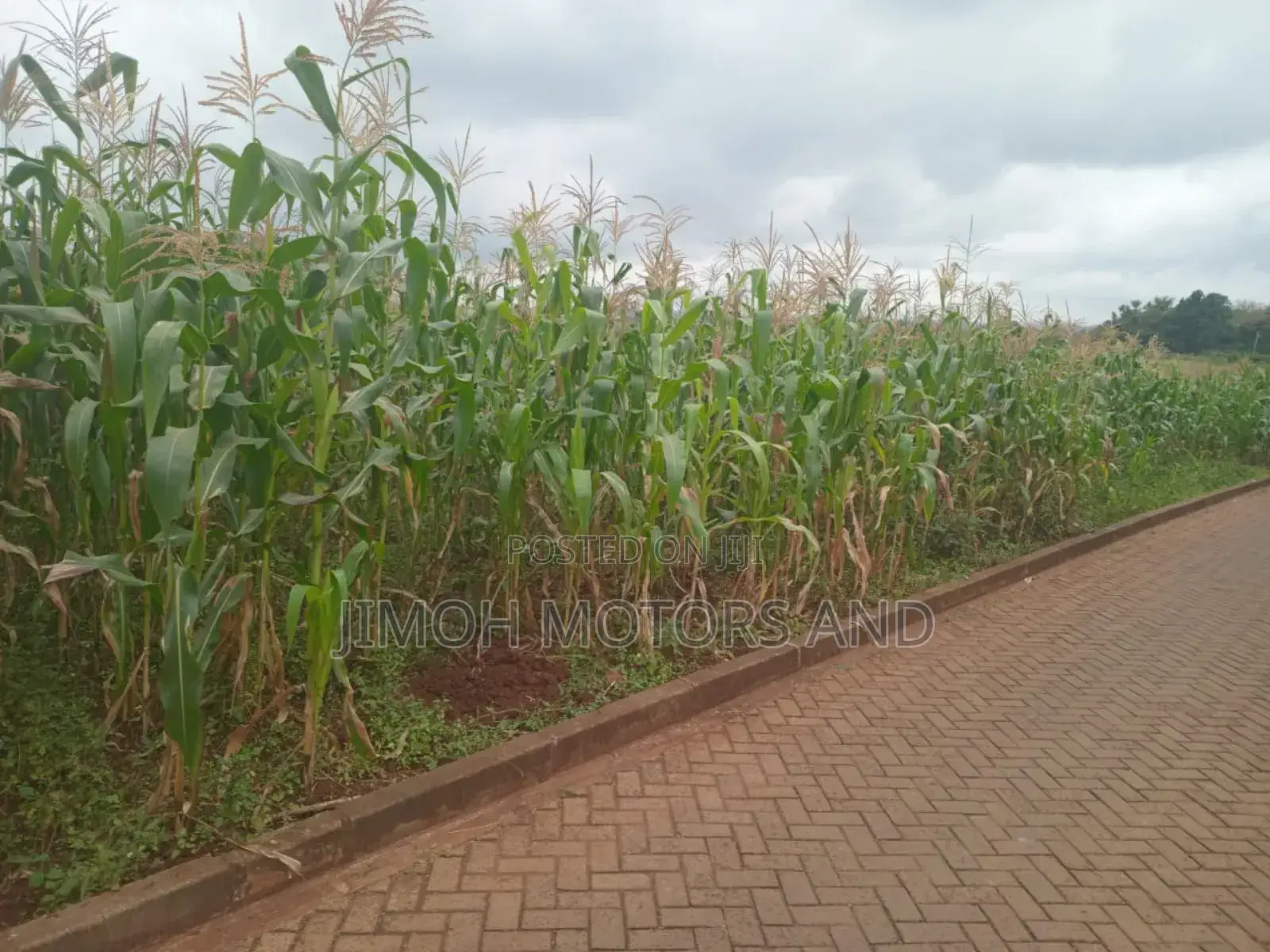 Land in Kitusuru for Sale