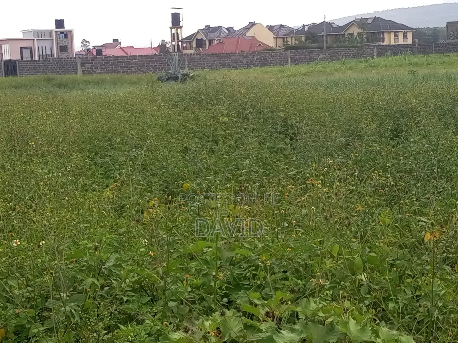 Plot for Sale in Muwa
