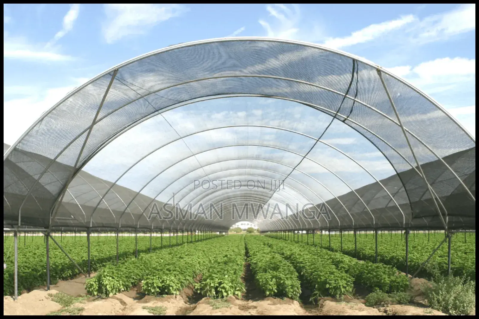 Anti-aphid Net 4m × 50m