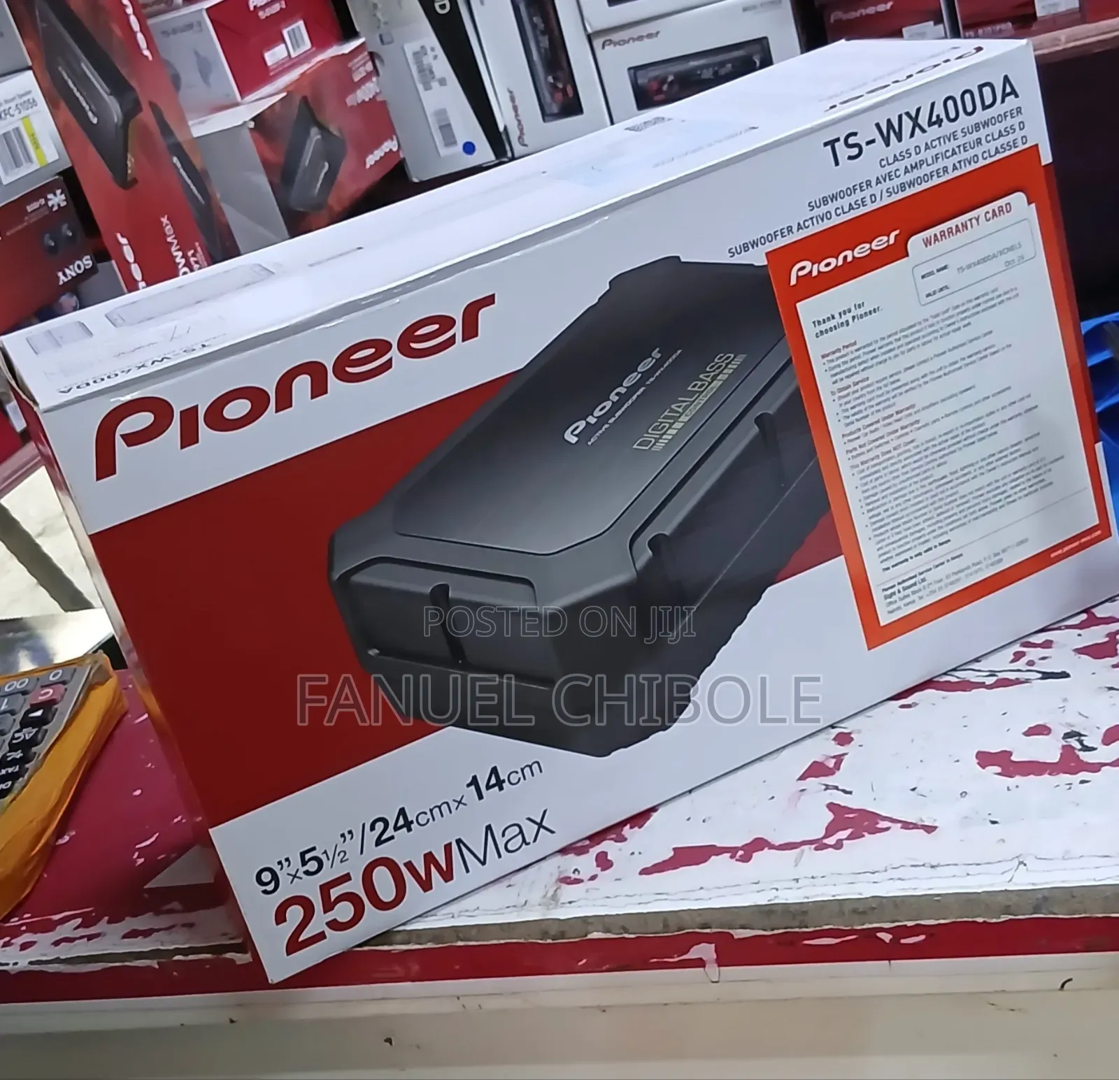 Pioneer Underseat 250w