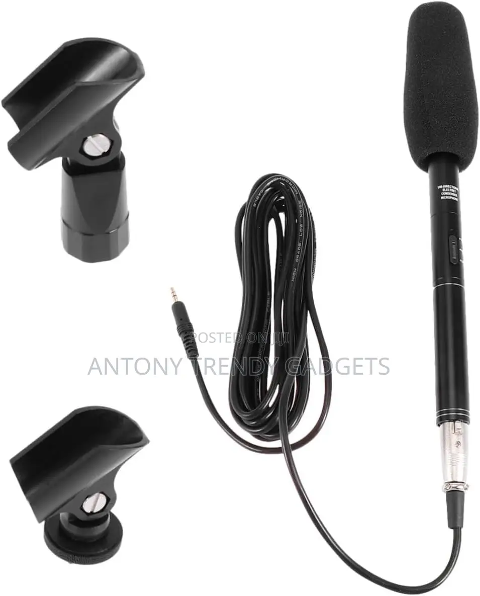 Panasonic Electret Mic – Directional Mic for Video Shoots