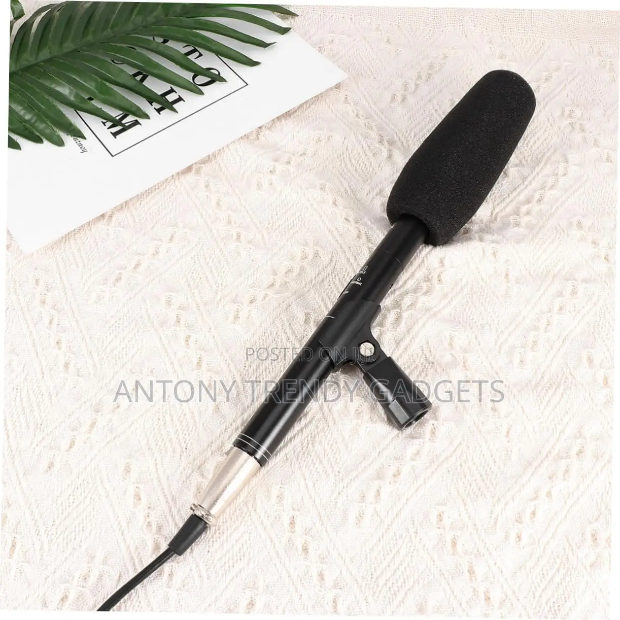 Panasonic Audio Mic – High Sensitivity Condenser for DSLR