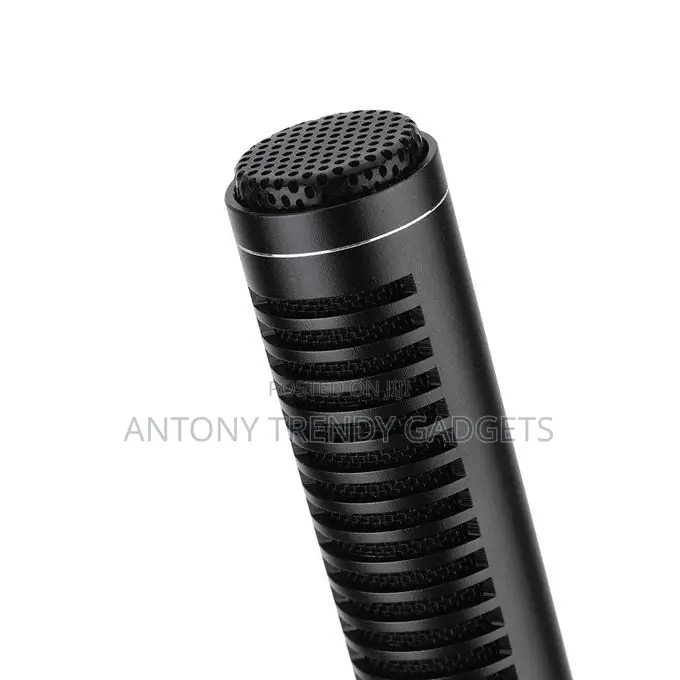 Panasonic Super Mic– Directional Mic for Studio Field Use