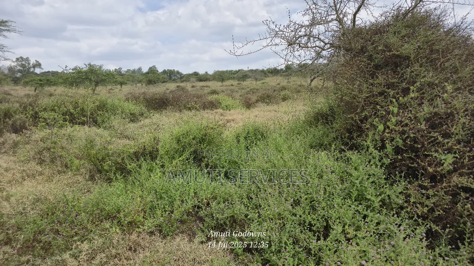 Chumvi: 10 Acres For Sale