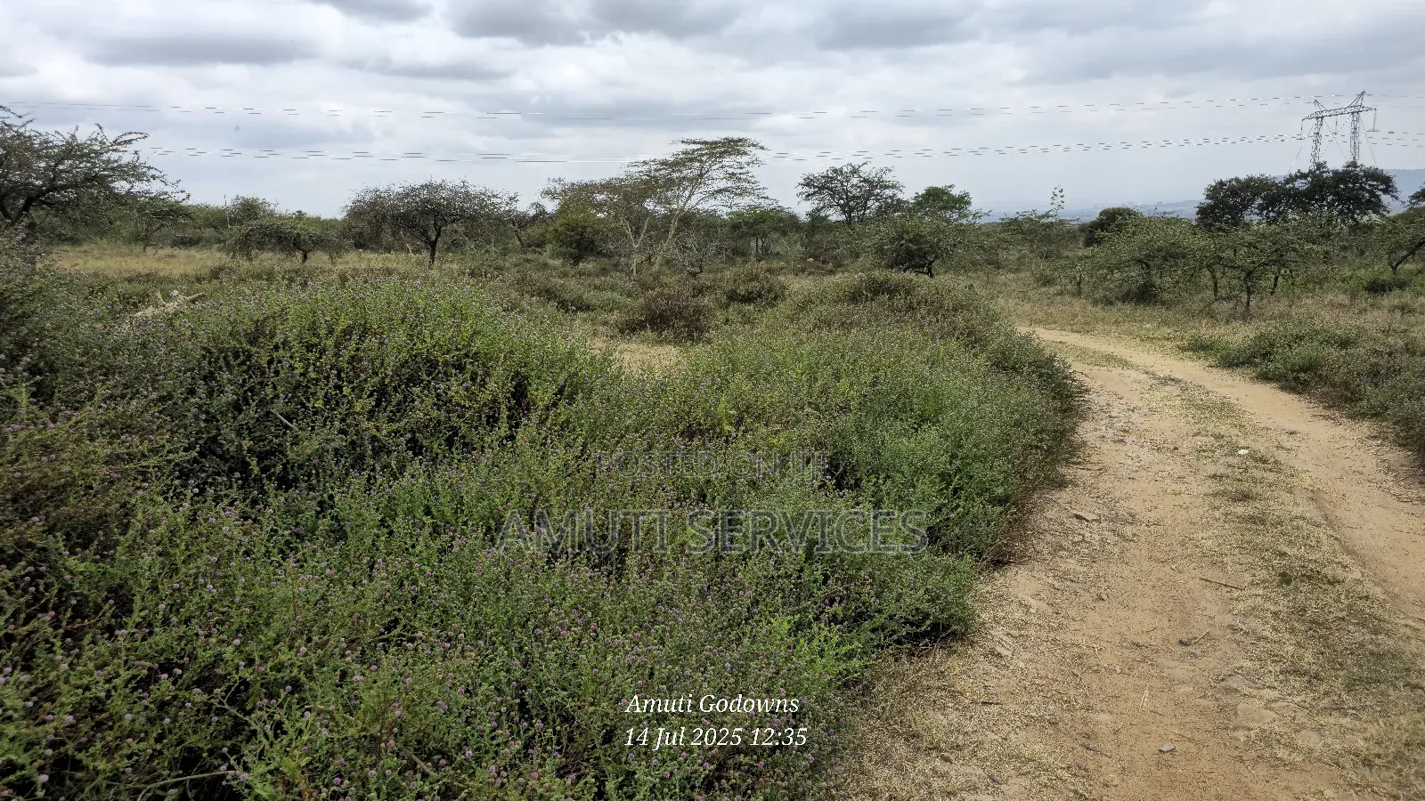 Chumvi: 2.5 Acres for Sale