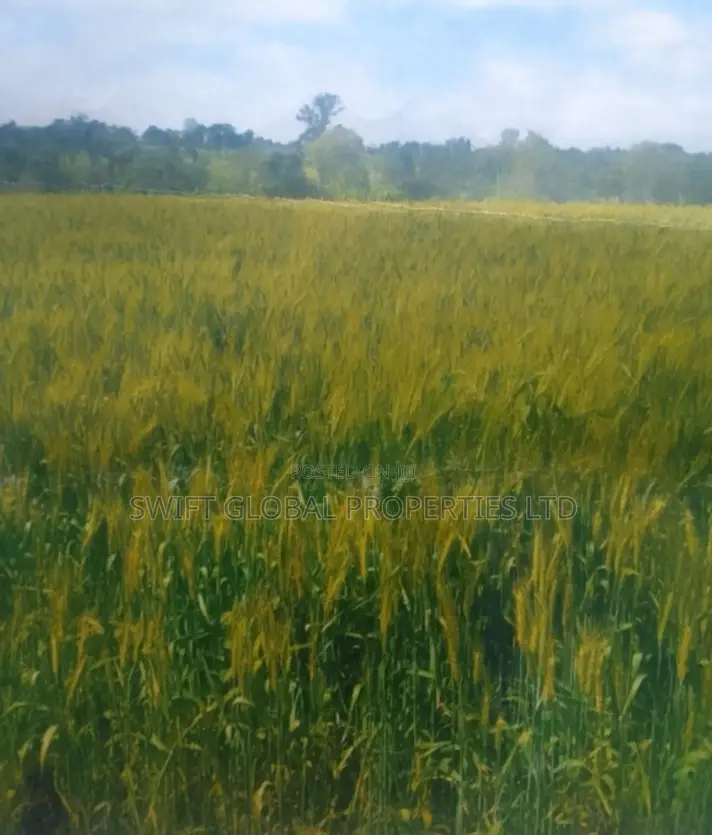 1000 Acres With Permanent Water Are Available Lease in Narok