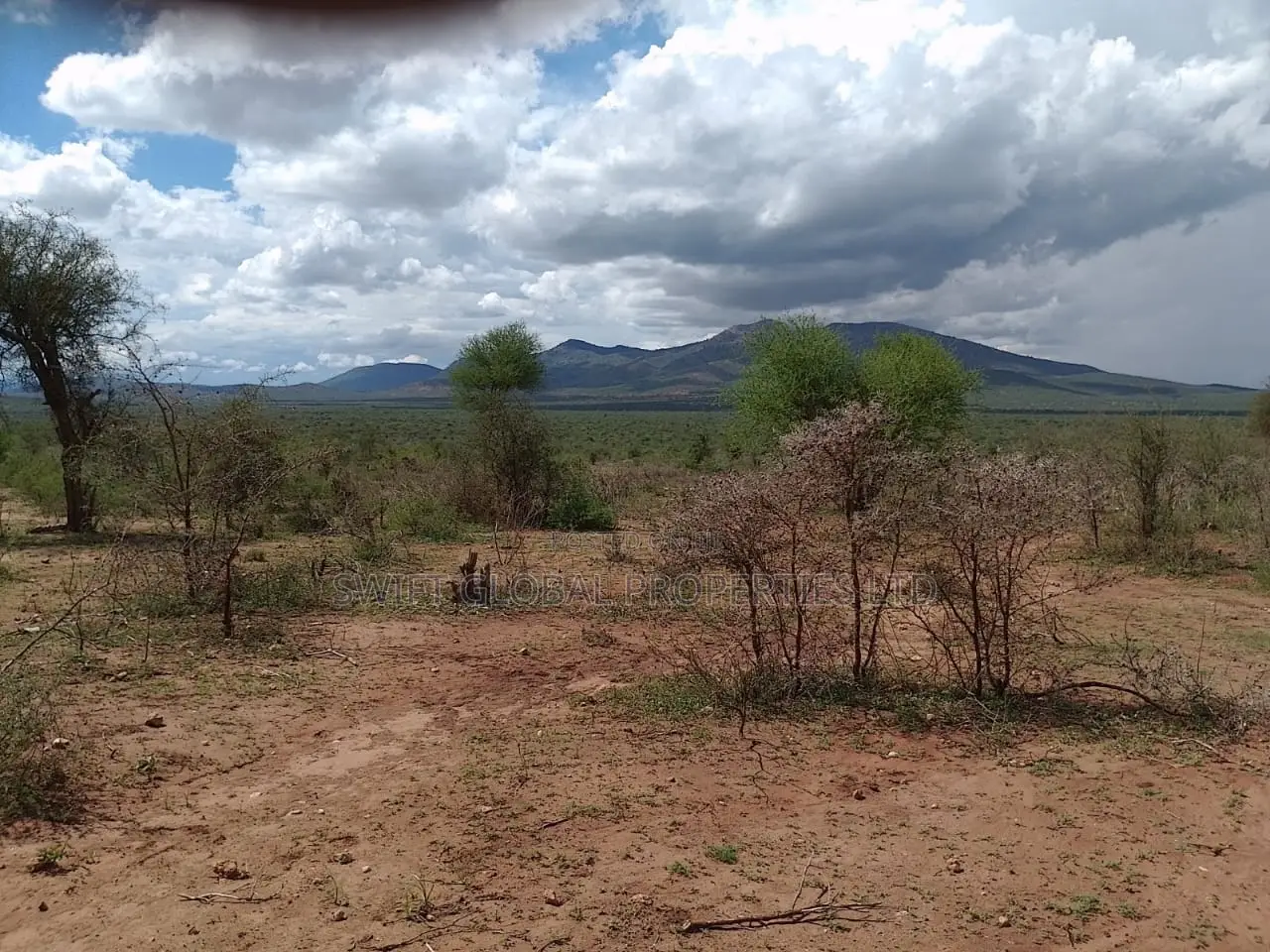 700 Acres in Namanga Kajiado Is Available for Sale