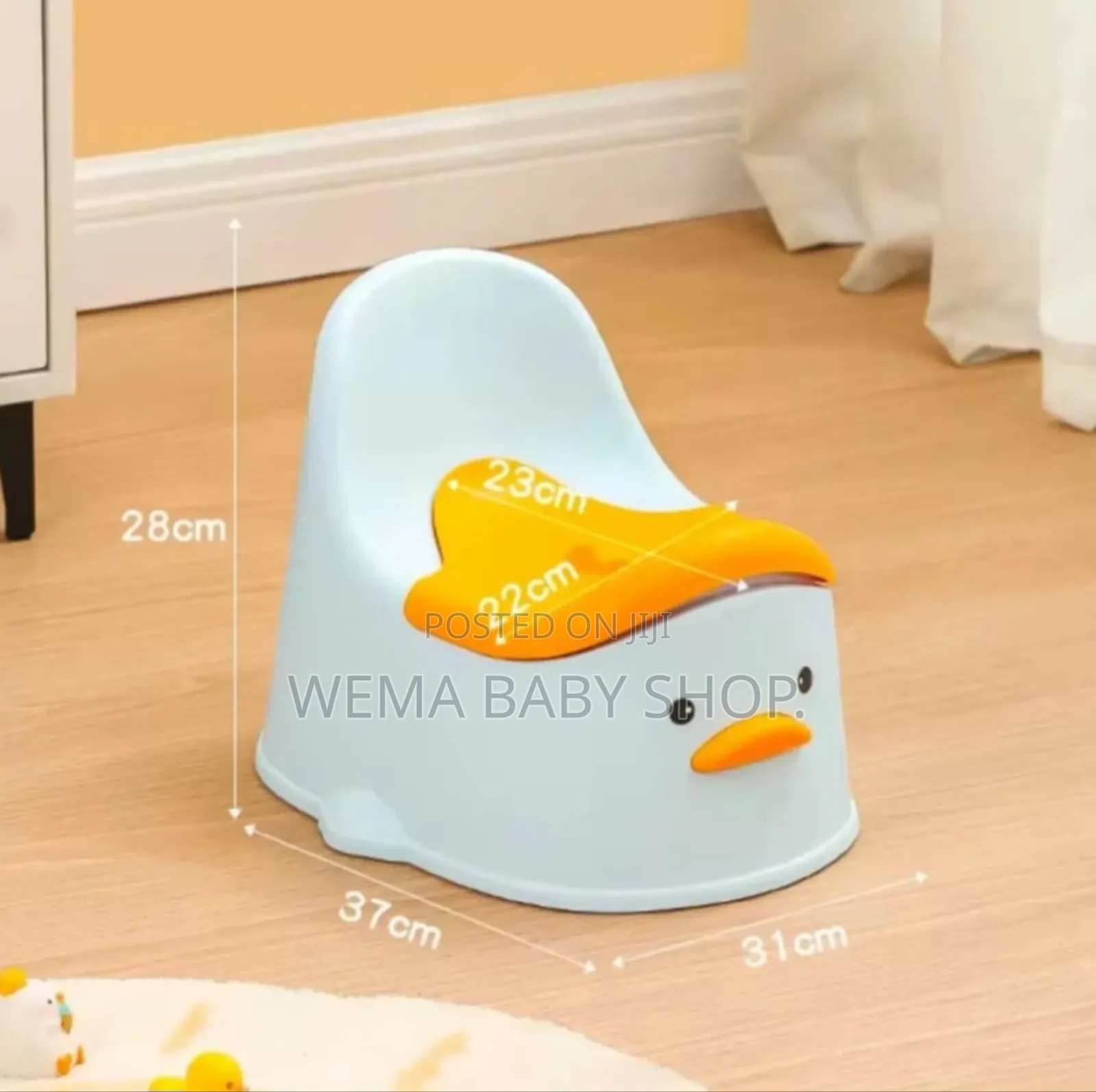 Baby Potties/Seat