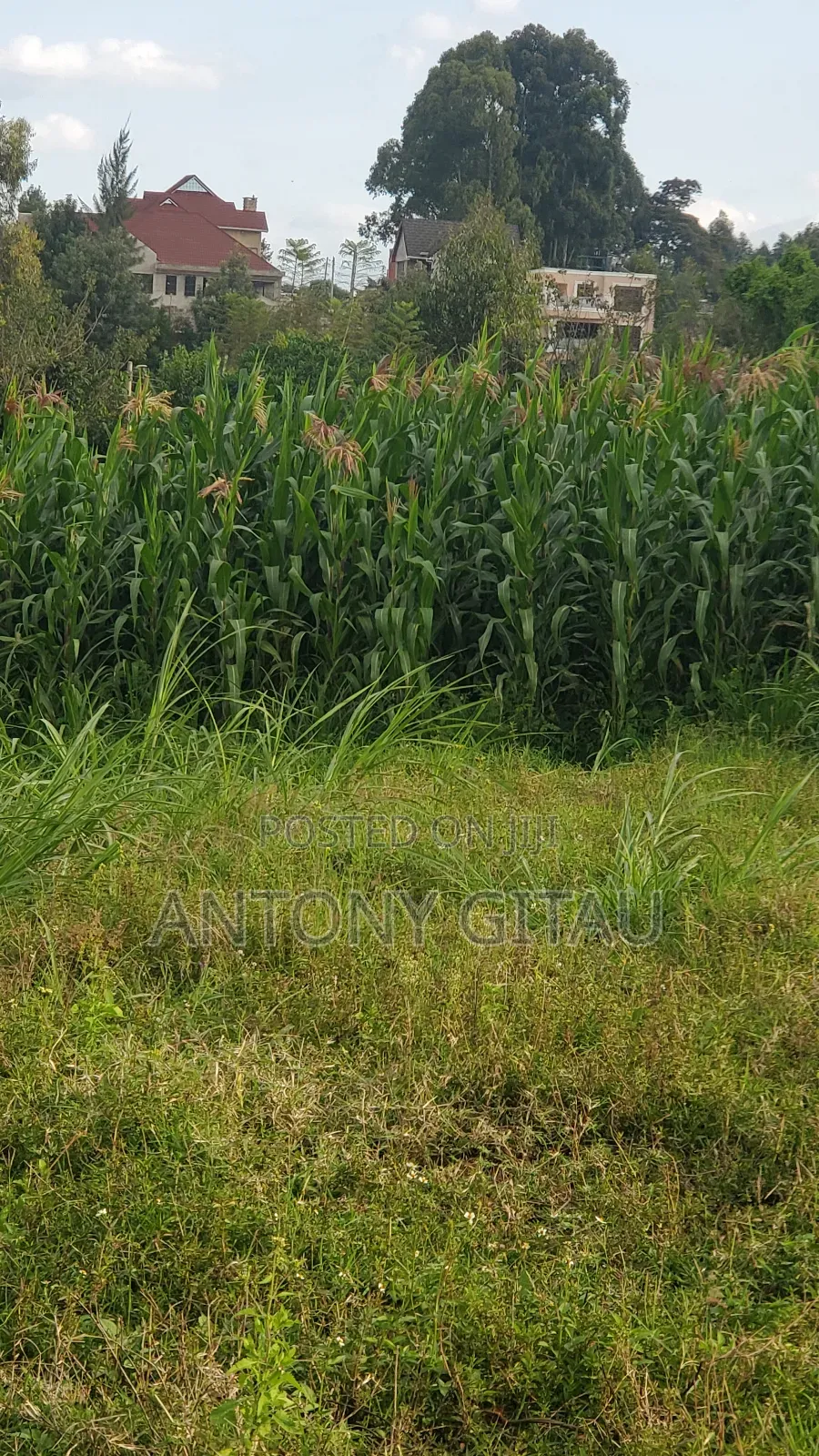 0.05 Haplot Near Kikuyu Bypass Overlooking Alliance High