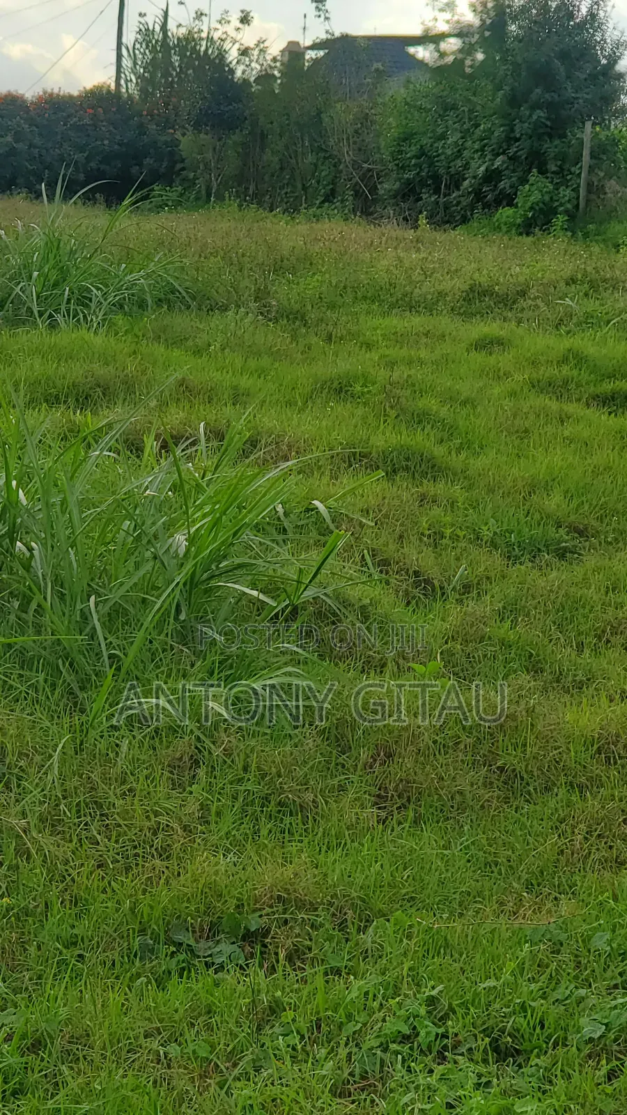 0.05 Haplot Near Kikuyu Bypass Overlooking Alliance High