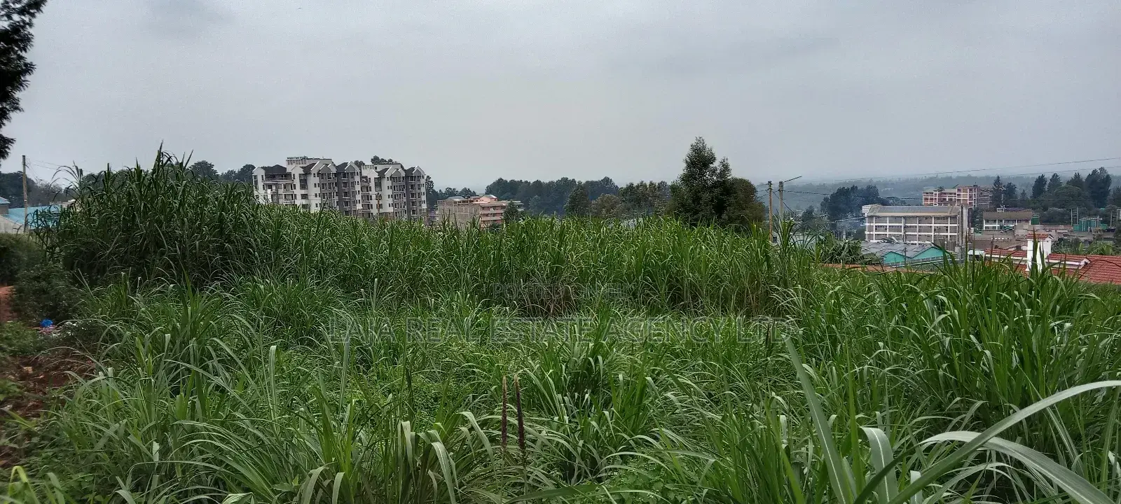 Githunguri Plots Sale