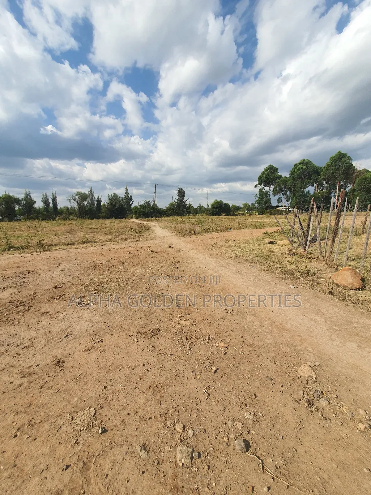 Nanyuki Plots on Tarmac
