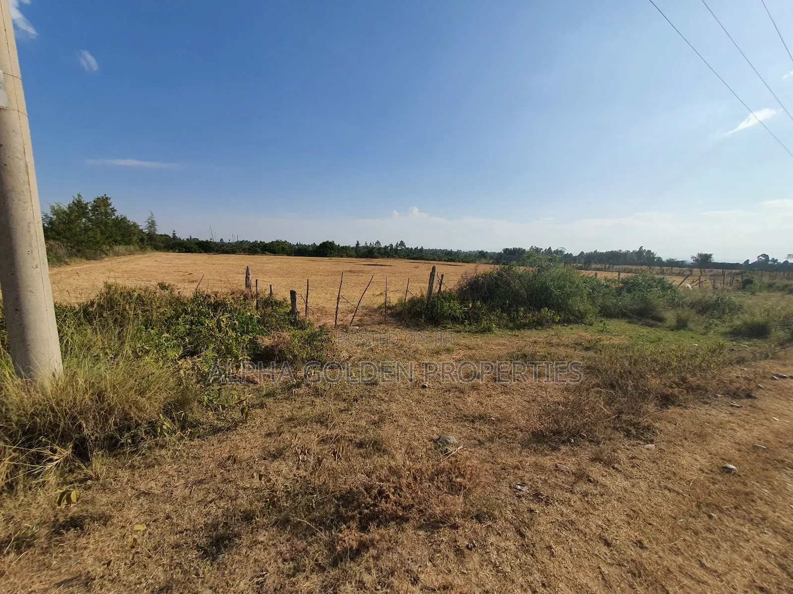 Sweetwaters Nanyuki Plots