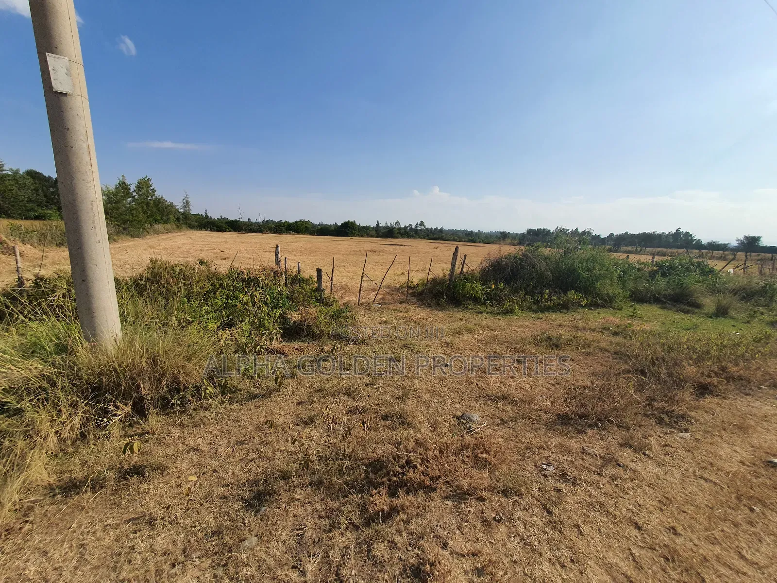 Sweetwaters Nanyuki Plots