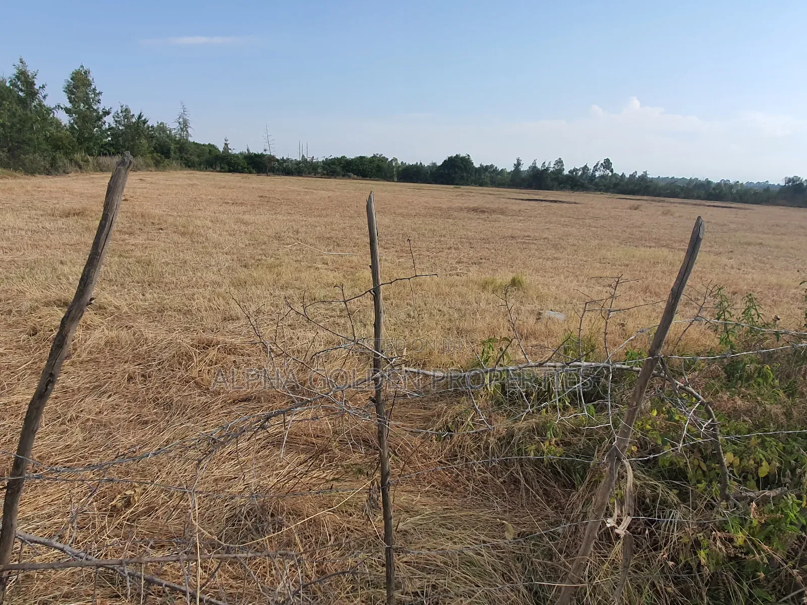 Sweetwaters Nanyuki Plots