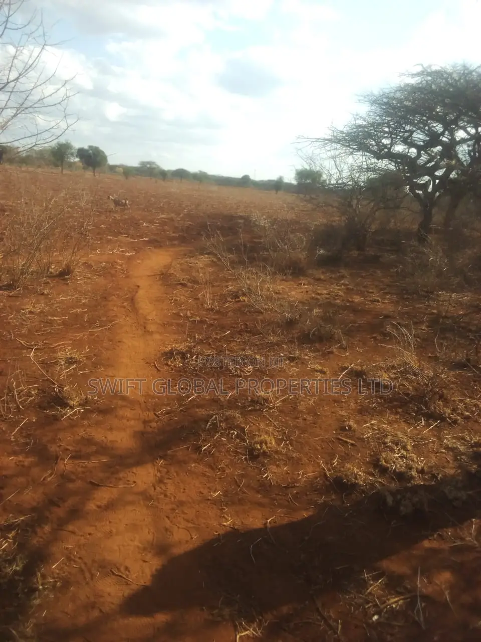 20 Acres of Agricultural Land Is for Sale in Makindu Ikoyo