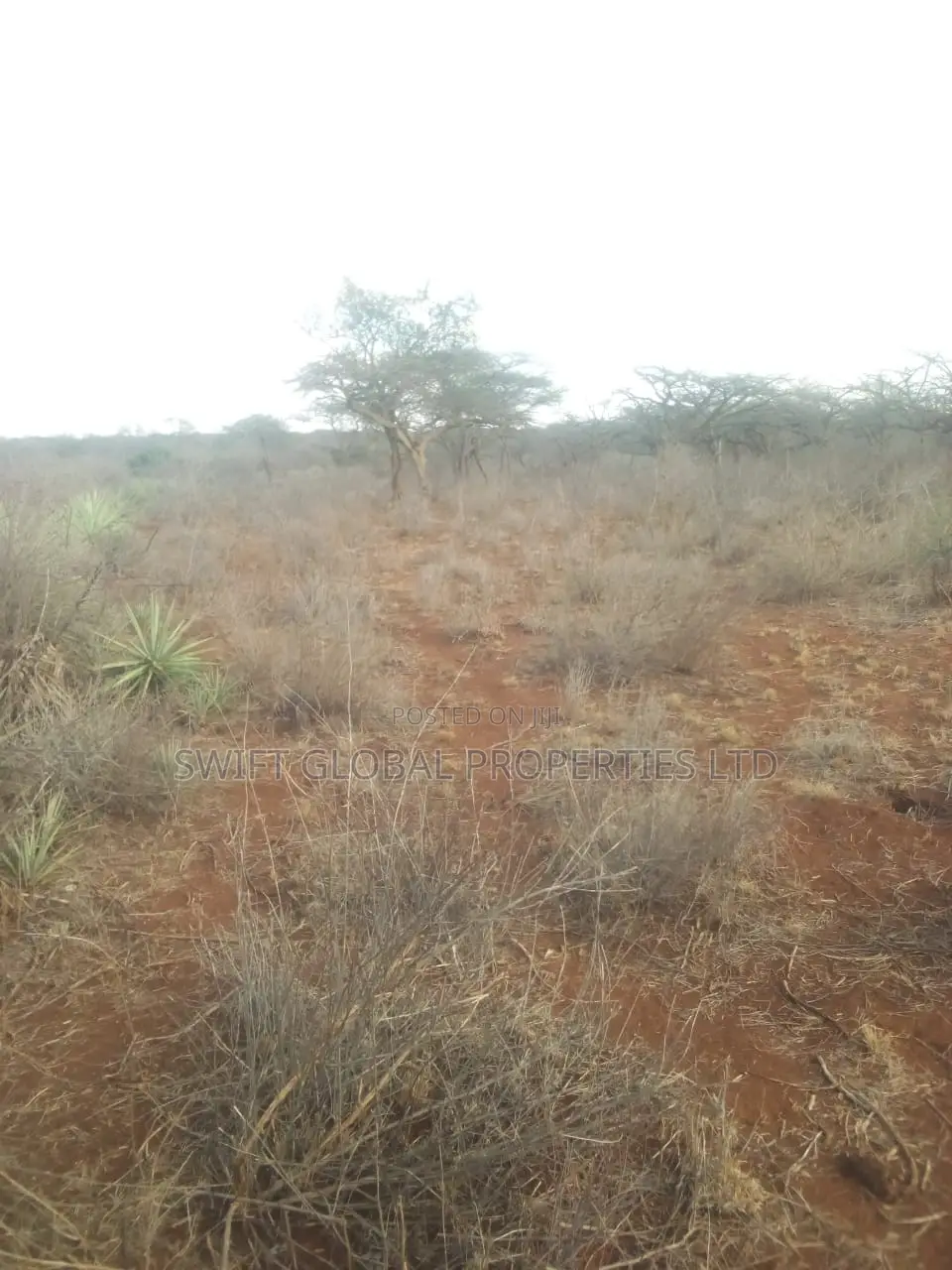 20 Acres of Agricultural Land Is for Sale in Makindu Ikoyo