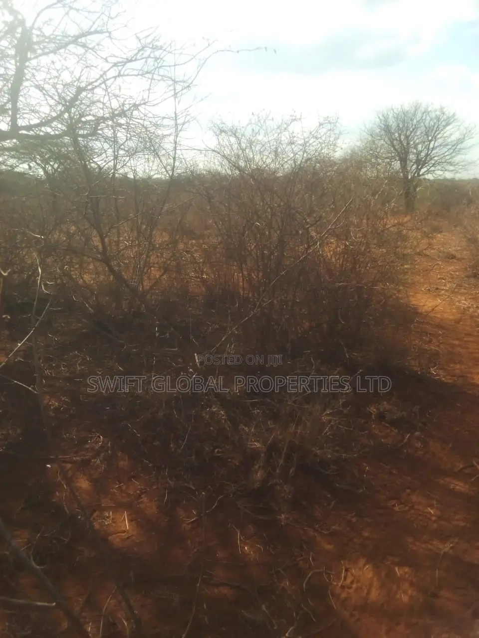20 Acres of Agricultural Land Is for Sale in Makindu Ikoyo